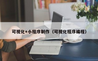 澳门可视化+小程序制作（可视化程序编程）